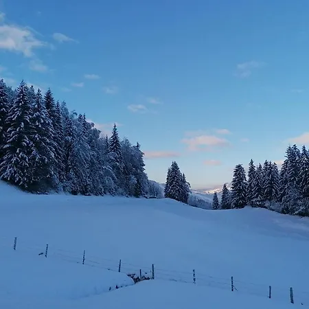 Winterreitgut *