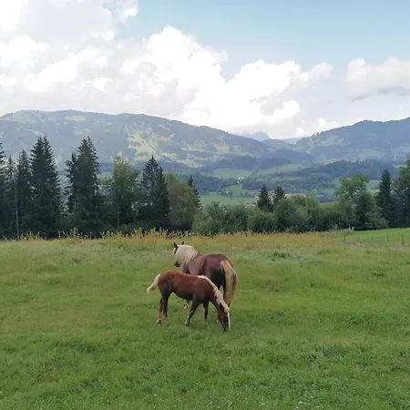 Winterreitgut Sankt Veit im Pongau