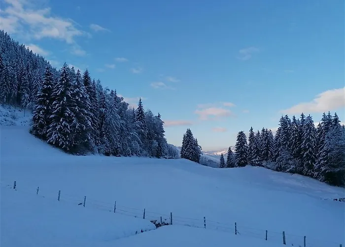 Winterreitgut *