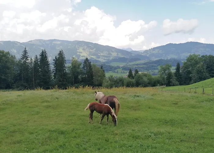 Winterreitgut Sankt Veit im Pongau